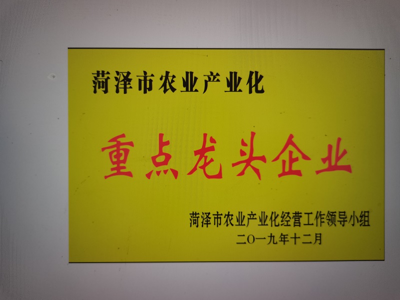 荣誉资质--重点龙头企业