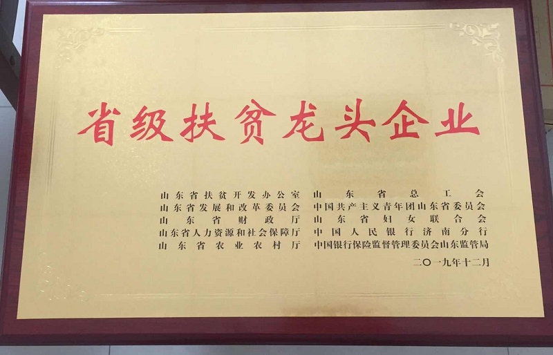 荣誉资质--省级扶贫龙头
