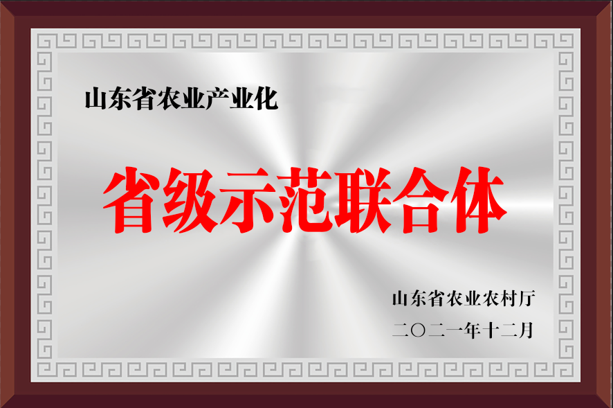 省级示范联合体